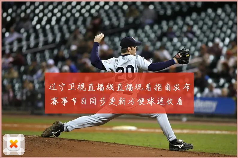 辽宁卫视直播线直播观看指南发布 赛事节目同步更新方便球迷收看