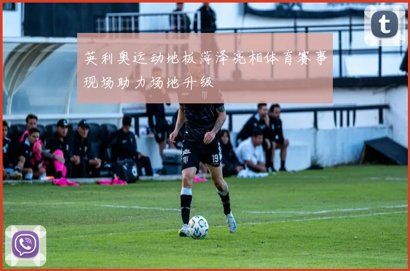英利奥运动地板菏泽亮相体育赛事现场助力场地升级